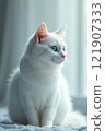 White cat looking out the window 121907333
