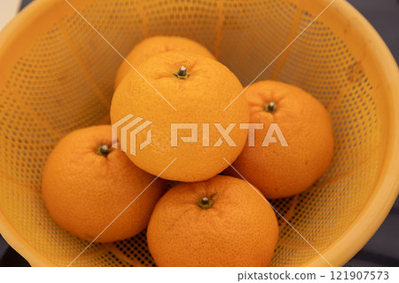 Unshu mandarins in a plastic colander 121907573