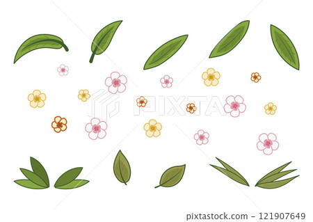 Tropical leaves and flowers set. Vector isolated elements for Hawaiian design. Green plant branches. 121907649