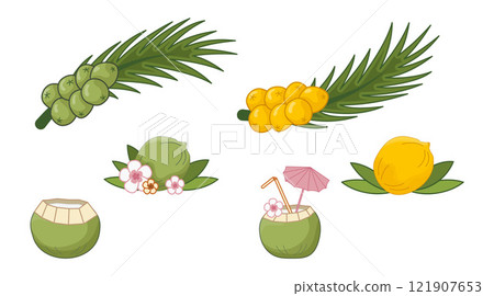 Yellow coconuts vector illustration, Sri Lanka, Maillard reaction. Palm leaves with yellow fruits, Royal coconut. Green coconut on palm branch. Coconut cocktail with straw, tropical flowers, umbrella. Yellow coconuts vector illustration, Sri Lanka, Maillard reaction. Palm leaves with yellow fruits, Royal coconut. Green coconut on palm branch. Coconut cocktail with straw, tropical flowers, umbrella. 121907653