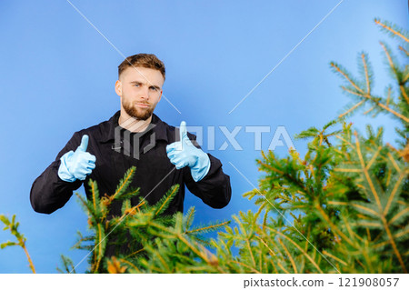 Man is carrying a cart with a pine tree on a blue background Man is carrying a cart with a pine tree on a blue background 121908057