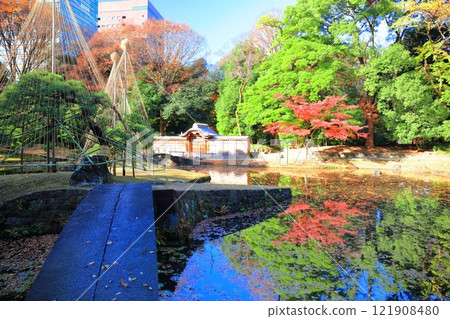 [Tokyo] Symmetrical autumn leaves in the inner garden of Koishikawa Korakuen on a clear day 121908480