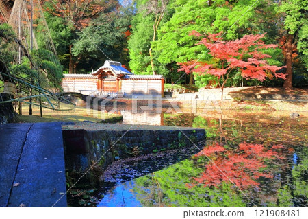 [Tokyo] Symmetrical autumn leaves in the inner garden of Koishikawa Korakuen on a clear day 121908481