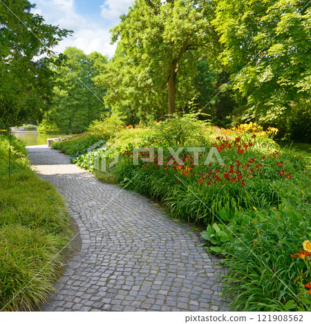 beautiful flowers and trees in the park 121908562