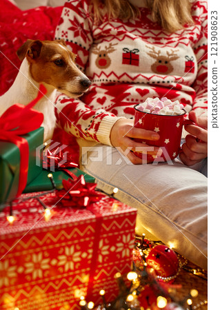 Woman wearing Christmas sweater holding mug of hot chocolate with marshmallows, her Jack Russell Terrier dog sitting near wrapped gifts and glowing lights. Cozy Christmas scene at home 121908623