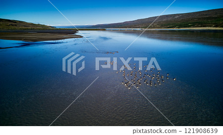一群鳥兒在藍天下游泳 一群鳥兒在藍天下游泳 121908639
