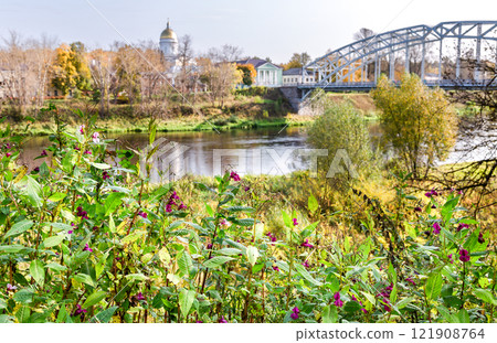 Wild flowers against the backdrop of an arched bridge and a church in Borovichi, Russia. Selective focus on flowers 121908764