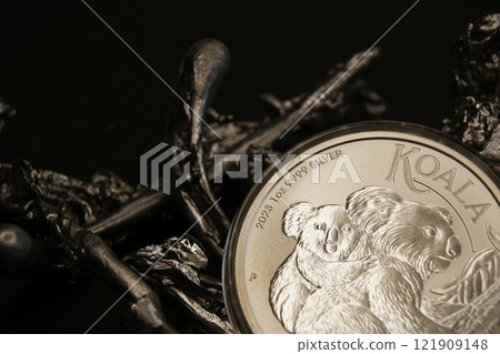 Australian 1 dollar Koala 1oz 2023. Fragment of a pure silver investment coin Australian 1 dollar Koala 1oz 2023. Fragment of a pure silver investment coin 121909148