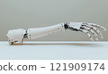 Close-up of a lightweight 3D-printed prosthetic limb designed for optimal fit and functionality captured in macro photography 121909174