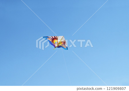 Kite flying in the blue sky, kite flying in the sky, kite flying, image material, New Year's card material Kite flying in the blue sky, kite flying in the sky, kite flying, image material, New Year's card material 121909807