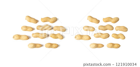 Peanuts Isolated, Roasted Arachis Nuts, Open Pea Nut, Whole Groundnut with Shell, Peanut on White 121910034