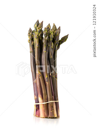 Purple Asparagus Isolated, Raw Garden Vegetables Bunch, Fresh Edible Sprouts of Red Asparagus Officinalis Purple Asparagus Isolated, Raw Garden Vegetables Bunch, Fresh Edible Sprouts of Red Asparagus Officinalis 121910324