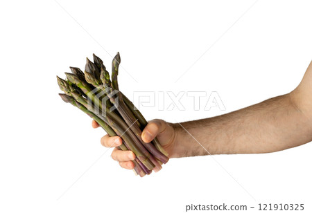 Raw Garden Asparagus, Fresh Green Spring Vegetables, Asparagus Officinalis Edible Sprouts Raw Garden Asparagus, Fresh Green Spring Vegetables, Asparagus Officinalis Edible Sprouts 121910325