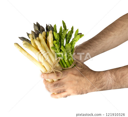 Raw Garden Asparagus, Fresh Green Spring Vegetables, Asparagus Officinalis Edible Sprouts Raw Garden Asparagus, Fresh Green Spring Vegetables, Asparagus Officinalis Edible Sprouts 121910326