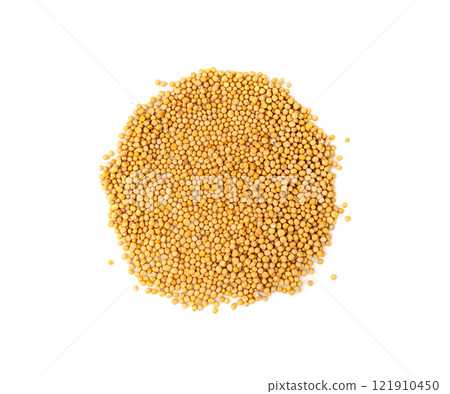 Mustard seeds isolated, dry yellow sinapis alba grains, mostarde balls on white background Mustard seeds isolated, dry yellow sinapis alba grains, mostarde balls on white background 121910450