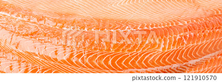 Fresh Salmon Fillet Isolated, Raw Norwegian Red Fish, Trout Meat Piece, Big Fresh Atlantic Salmon Fillet 121910570