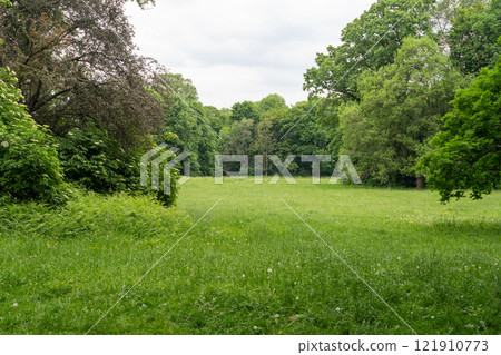 Spring Meadow Texture Background, Green Spring Landscape with Copy Space, Idyllic Meadow Banner Spring Meadow Texture Background, Green Spring Landscape with Copy Space, Idyllic Meadow Banner 121910773