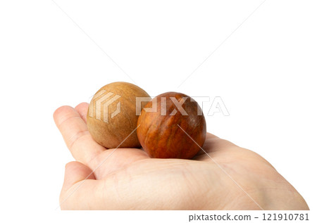 Hass Avocado Stones Isolated, Avocado Core Seeds Closeup, Alligator Pear Kernels, Persea Americana Pits Hass Avocado Stones Isolated, Avocado Core Seeds Closeup, Alligator Pear Kernels, Persea Americana Pits 121910781
