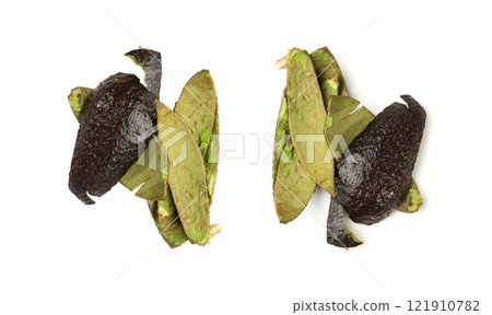 Hass Avocado Peel Isolated, Whole Sharwil Peelings, Brown Avocados Shell, Fresh Alligator Pear Skin 121910782