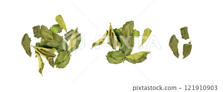 Thai lime dried leaves isolated, makrut lime or Citrus hystrix leaf pile, kaffir lime dry sprouts, Asia spices Thai lime dried leaves isolated, makrut lime or Citrus hystrix leaf pile, kaffir lime dry sprouts, Asia spices 121910903