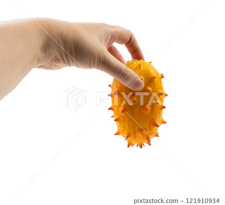 Kiwano isolated, jelly melon, cucumis metuliferus ripe fruit, orange horned melon, african horned cucumber 121910934