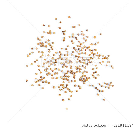 Coriander Seeds Isolated, Cilantro Grains, Chinese Parsley Seed Group, Dry Spices, Seasonings 121911184