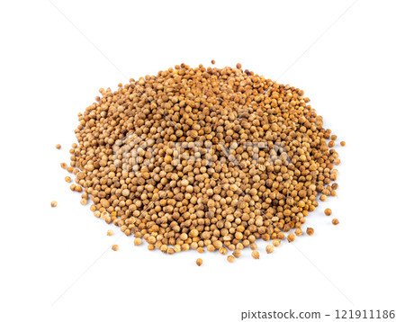 Coriander Seeds Isolated, Cilantro Grains, Chinese Parsley Seed Group, Dry Spices, Seasonings 121911186