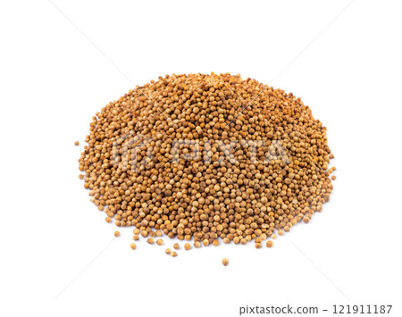 Coriander Seeds Isolated, Cilantro Grains, Chinese Parsley Seed Group, Dry Spices, Seasonings 121911187