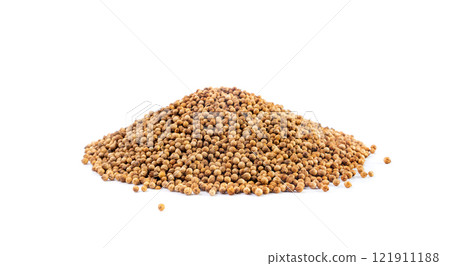 Coriander Seeds Isolated, Cilantro Grains, Chinese Parsley Seed Group, Dry Spices, Seasonings 121911188