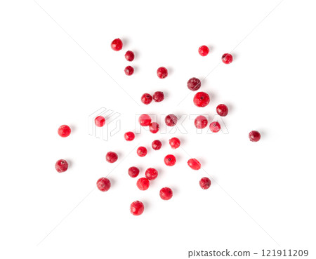 Frozen Lingonberry, Iced Cowberry, Snow Cranberry, Red Viburnum Berries, Frozen Lingonberry Frozen Lingonberry, Iced Cowberry, Snow Cranberry, Red Viburnum Berries, Frozen Lingonberry 121911209
