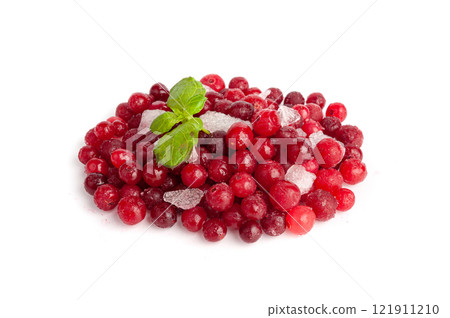 Frozen Lingonberry, Iced Cowberry, Snow Cranberry, Red Viburnum Berries, Frozen Lingonberry Frozen Lingonberry, Iced Cowberry, Snow Cranberry, Red Viburnum Berries, Frozen Lingonberry 121911210