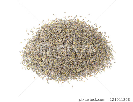 Dry lavender flowers isolated, lavandula perfume buds, petals, fragrance lilac blossoms, herbs 121911268