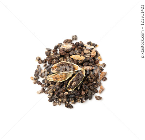 Cardamom Isolated, Green Cardamon Seeds, Dry Kardamon, Cardamum Spice, Genera Elettaria Beans 121911423