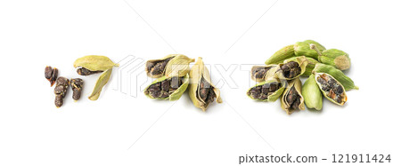 Cardamom Isolated, Green Cardamon Seeds, Dry Kardamon, Cardamum Spice, Genera Elettaria Beans 121911424
