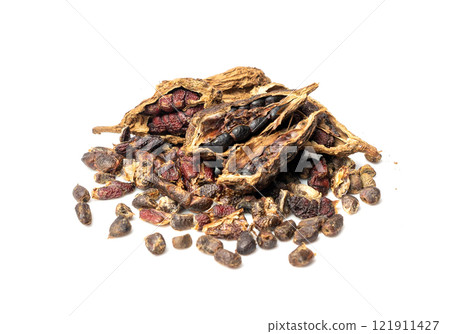 Black Cardamom Seeds Isolated, Brown Cardamon, Dry Kardamon Fruits, Cardamum Spice, Cardamomum 121911427