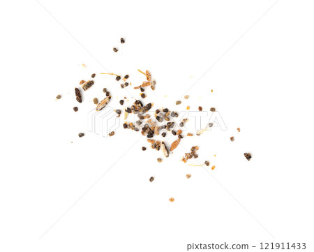 Cardamom Seeds Isolated, Dry Cardamon Cardamom Pods on White Background 121911433