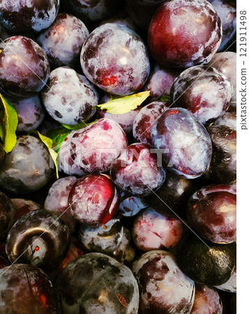 A lot of juicy plum berries of burgundy color A lot of juicy plum berries of burgundy color 121911498