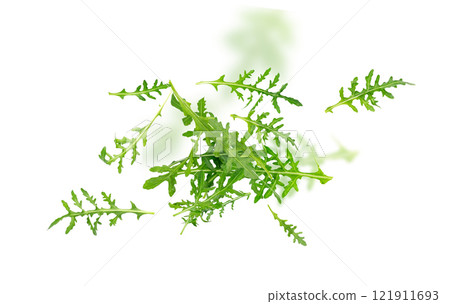 Falling Arugula, Arugula, Ruccola Leaves, Rucola, Eruca or Roquette Salad Falling Arugula, Arugula, Ruccola Leaves, Rucola, Eruca or Roquette Salad 121911693