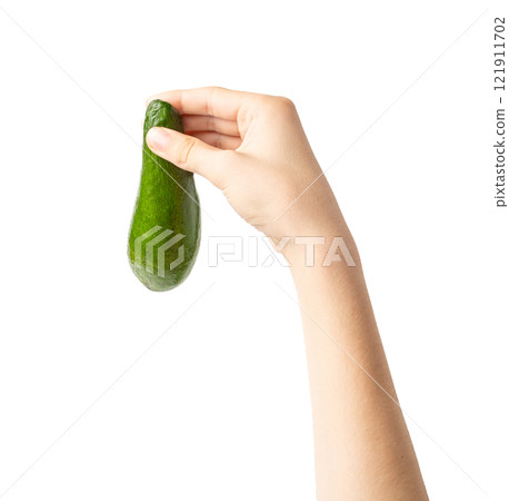 Avocado Isolated, Whole Avokado, Green Avocados Slice, Fresh Alligator Pear, Long Avocado Fruit 121911702