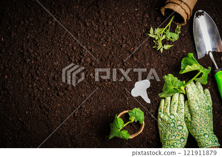 Garden tools and plants Garden tools and plants 121911879