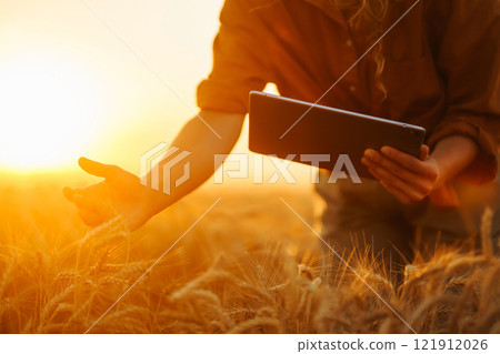 Peasant woman with tablet checks growth progress of wheat field. Smart farming and digital farming. Peasant woman with tablet checks growth progress of wheat field. Smart farming and digital farming. 121912026