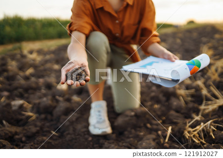 Expert hand of farmer woman checking soil health before growth seed of vegetable. Gardening concept. 121912027