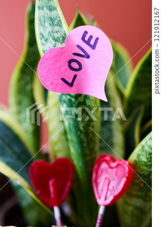 Love heart, lollipops, and plant symbolize affection and sweetness. Love heart, lollipops, and plant symbolize affection and sweetness. 121912167