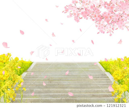 Cherry trees and rape blossoms blooming along the bank - Stairs on the bank - Graduation and entrance - Vector illustration white background material Cherry trees and rape blossoms blooming along the bank - Stairs on the bank - Graduation and entrance - Vector illustration white background material 121912321