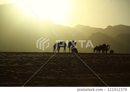 Camels in Wadi Rum desert, Hashemite Kingdom of Jordan 121912379