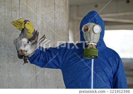 Workman in gas mask and protection suit holds in hand dead bird Workman in gas mask and protection suit holds in hand dead bird 121912398