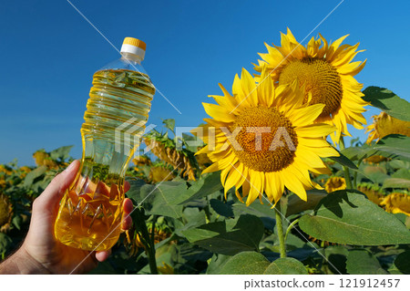 Human hand holding bottle of sunflower oil near sunflower in field Human hand holding bottle of sunflower oil near sunflower in field 121912457