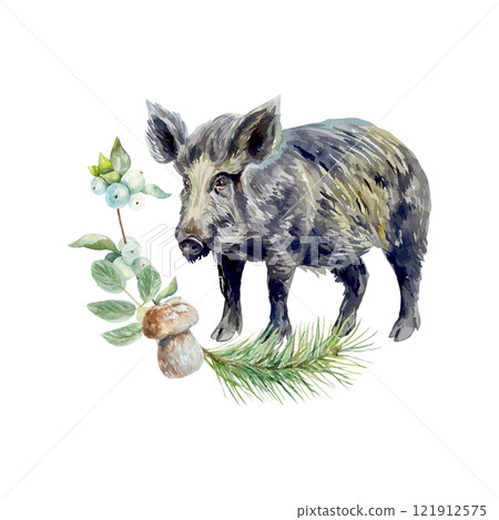 Wild boar watercolor. Fir branch, mushroom, berry sprig. Hand drawn vector illustration. Cards, invitations, posters, banners, wildlife protection day 121912575