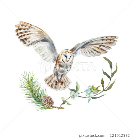 Barn owl with green twig, spruce branch and cone, watercolor. Vector illustration of forest bird. Cards, invitations, covers, wildlife protection day. Barn owl with green twig, spruce branch and cone, watercolor. Vector illustration of forest bird. Cards, invitations, covers, wildlife protection day. 121912582