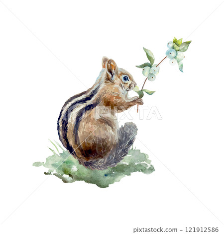 Chipmunk holding a branch with white berries, watercolor. Hand drawn vector illustration. For cards, posters, banners, wildlife protection day. 121912586